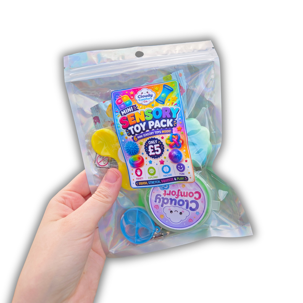 Sensory Toy Bag - Fidget Toy Gift Bag