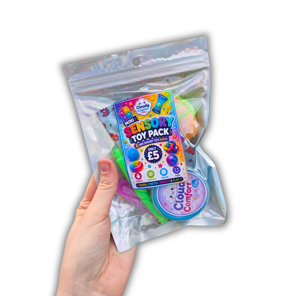Sensory Toy Bag - Fidget Toy Gift Bag