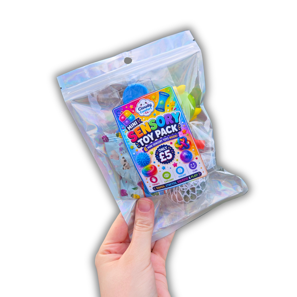 Sensory Toy Bag - Fidget Toy Gift Bag